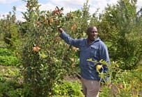 Find Out How a Laikipa Farmer is Making A Fortune in Rare Fruits Farming