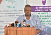 Kenya leads the World in Commercializing Weed Bio-Herbicide Technology