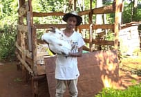 22-Year-Old Making a Killing in Hybrid Rabbit Farming