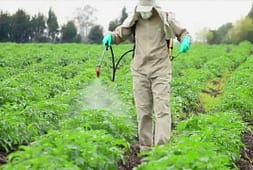 tips-to-safely-handle-agricultural-pesticides