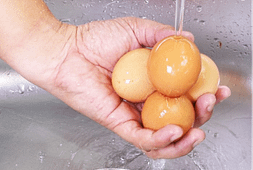 should-you-wash-eggs-or-not