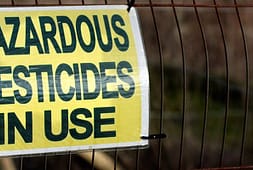 hazards-of-prolonged-use-of-pesticides