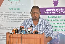 kenya-leads-the-world-in-commercializing-weed-bio-herbicide-technology