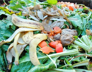 turn-your-kitchen-waste-into-manure