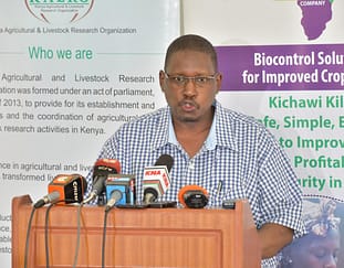 kenya-leads-the-world-in-commercializing-weed-bio-herbicide-technology