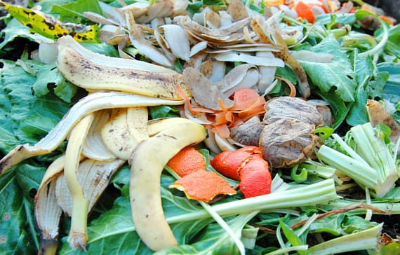 turn-your-kitchen-waste-into-manure
