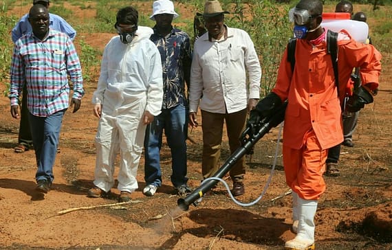 motorized-spraying-of-locust-nymphs-yields-results-in-kitui-county