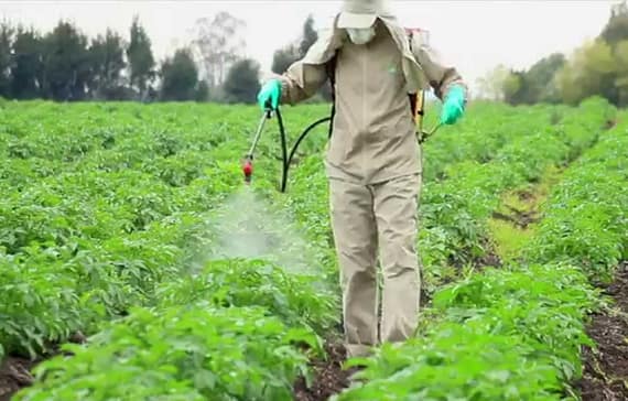 tips-to-safely-handle-agricultural-pesticides