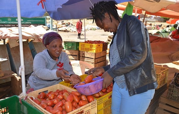 tomato-prices-go-up-amid-cries-from-the-traders