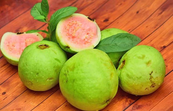 guavas-mapera-what-you-need-to-know-about