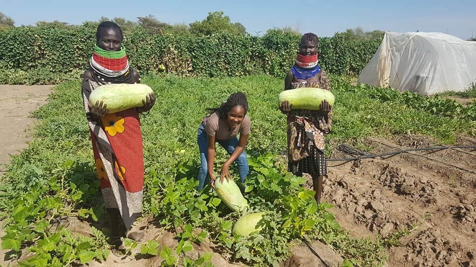 Kenyan lady returns from abroad to turn dry Turkana into green farms