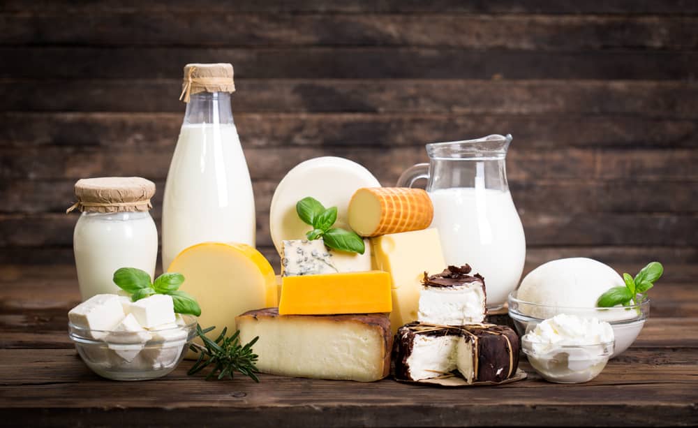 basic-understanding-dairy-sector-business