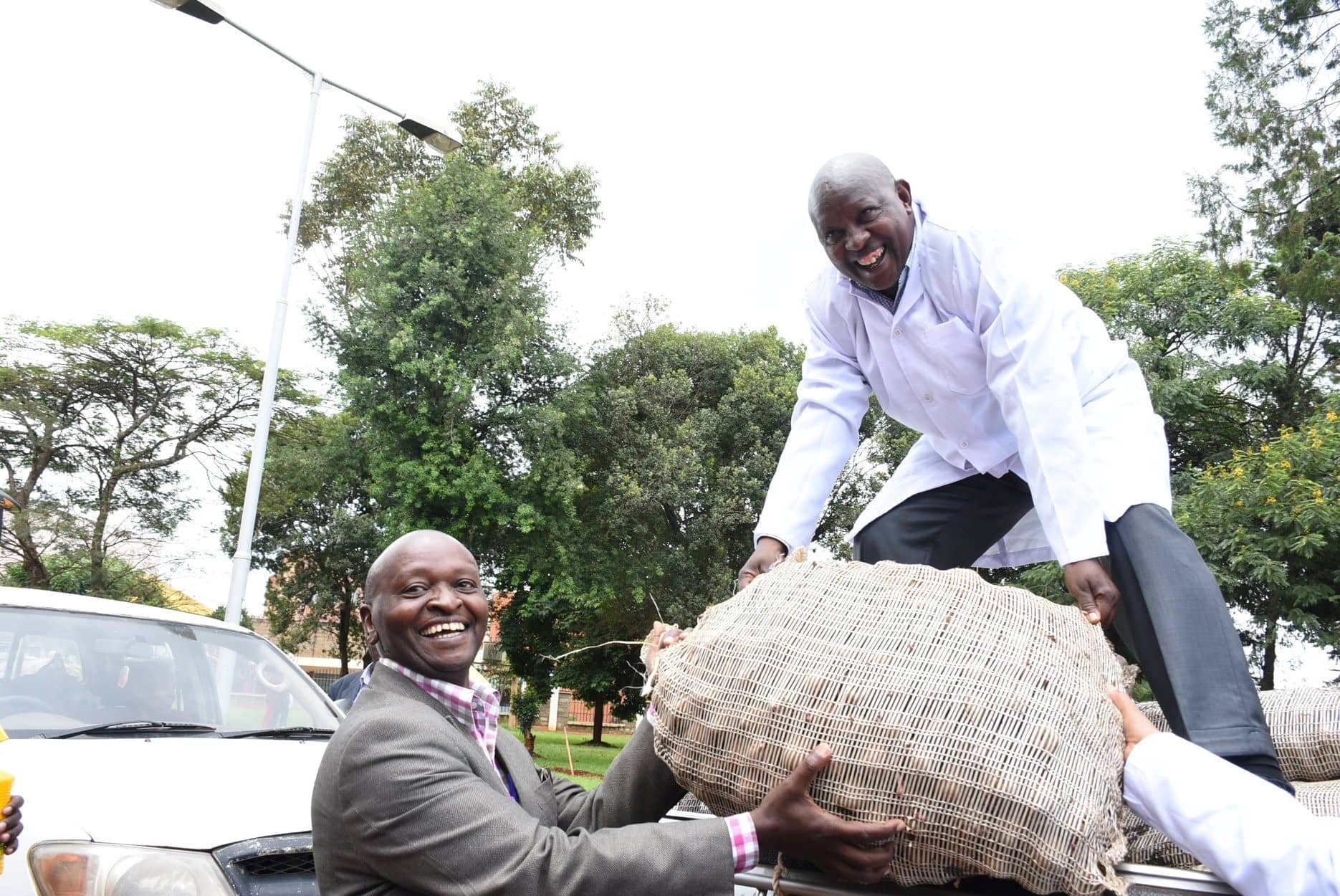 farmers-receive-80-tonnes-of-potato-seedlings-in-nyeri