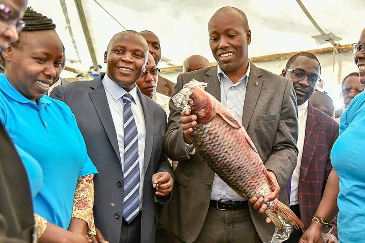 nakuru-county-sets-aside-sh-40m-for-construction-of-raised-fish-ponds-while-restocking-lakes