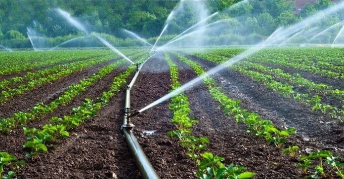 irrigation-project-gets-a-financial-boost