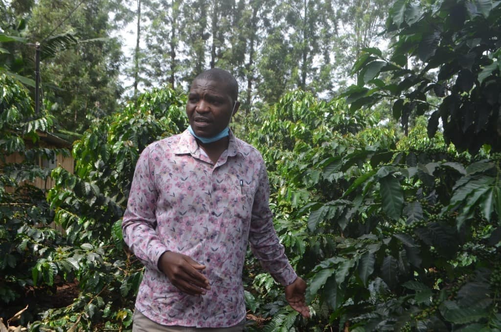 farmers-supportive-of-anticipated-coffee-reforms