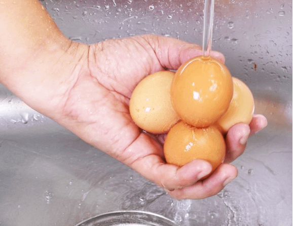 should-you-wash-eggs-or-not