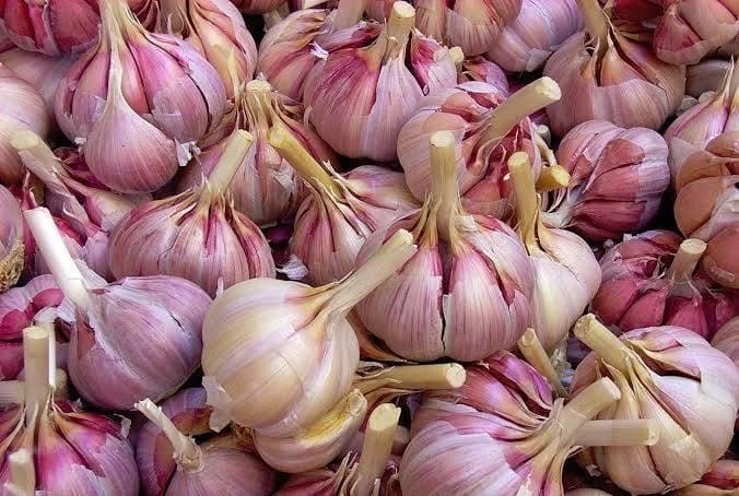 garlic-farmers-look-out-for-the-purple-garlic