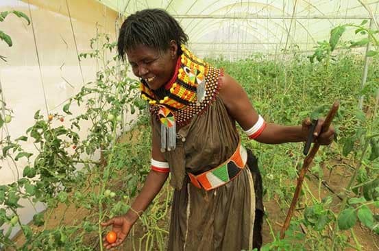 I CAN FEED MYSELF- TEACH ME HOW TO FARM | by mkulima patricia | AFFAC <a href=