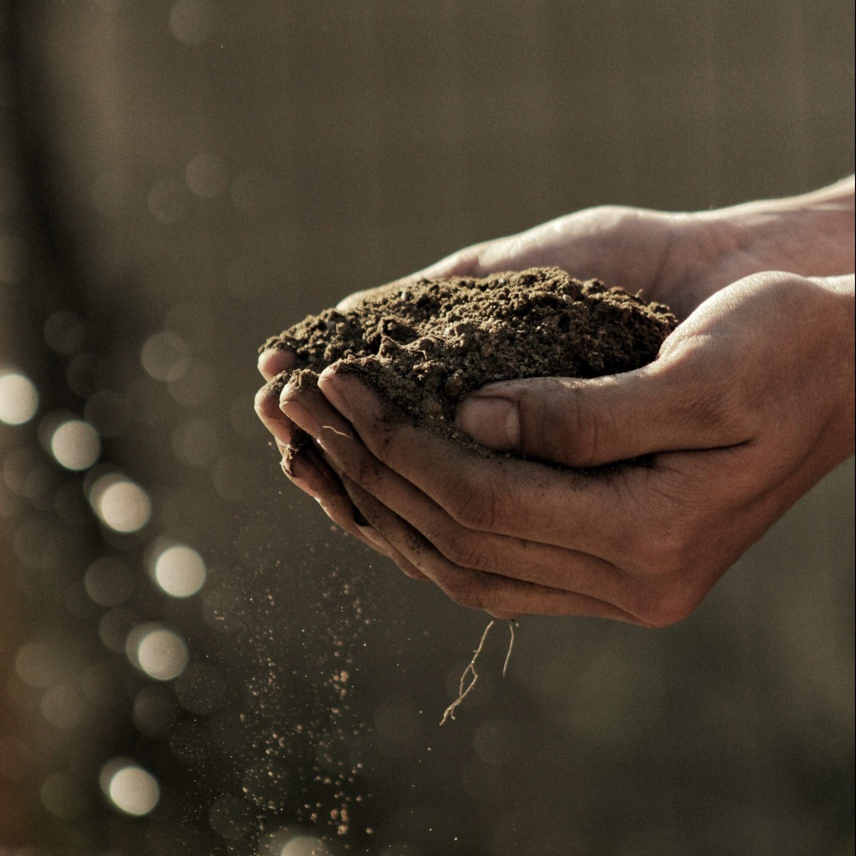soil-testing-when-how-and-why