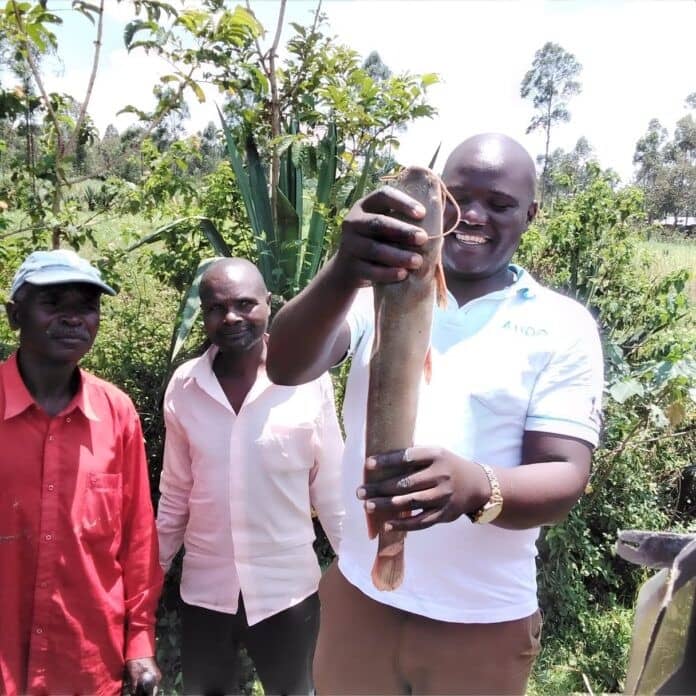 farmers-in-kakamega-urged-to-embrace-aquaculture
