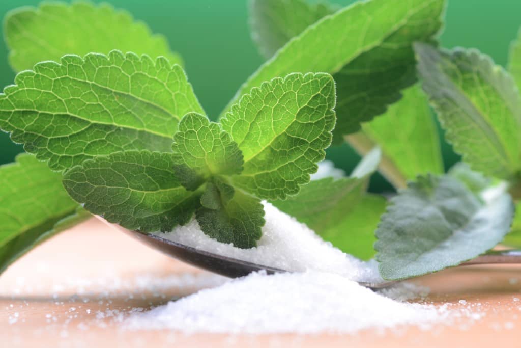 stevia-farming-a-leaf-that-is-changing-the-lives-of-many-farmers