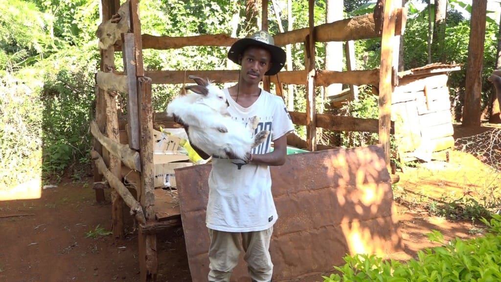 22-year-old-making-a-killing-in-hybrid-rabbit-farming